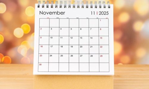 Steuertermine November 2025