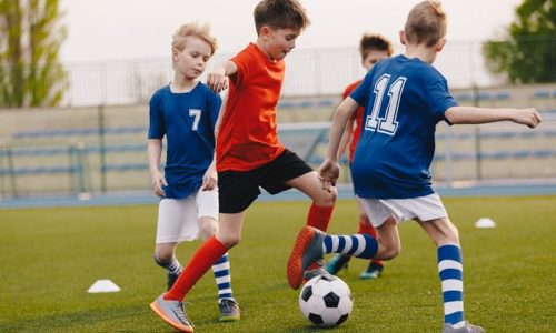 Umsatzsteuer für Leistungen eines gemeinnützigen Sportvereins