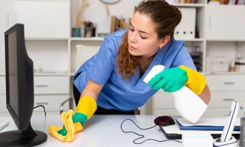 Was ist ein Minijob im Privathaushalt?