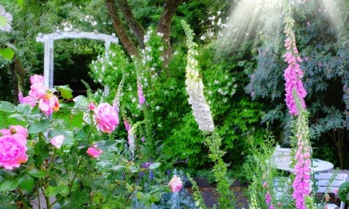 Behindertengerechter Gartenumbau