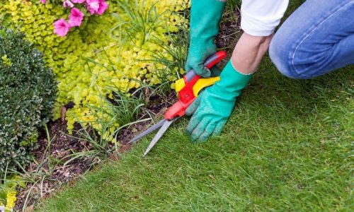 Beide Ehegatten als Kleinunternehmer: Kein Missbrauch