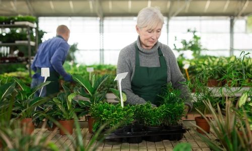 Minijob: Auswirkungen bei schwankendem Verdienst